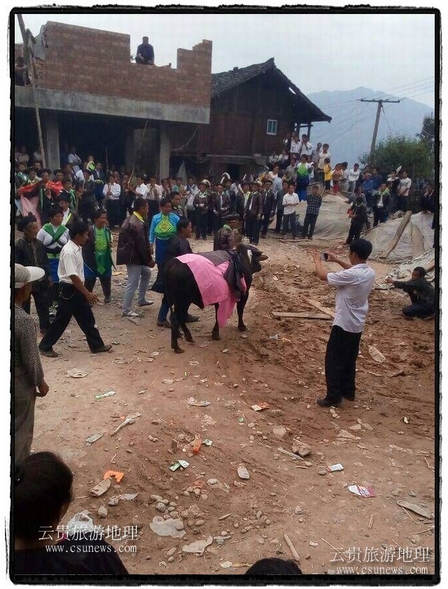 從江縣加勉鄉(xiāng)黨翁、白棒兩村舉行最后一次苗族牯藏節(jié)